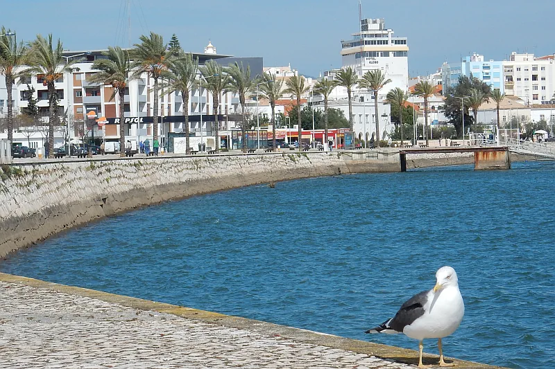 Portimão Algarve